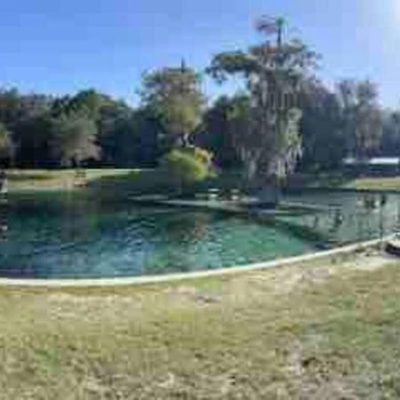 The Botanical Retreat, King Comfort & Poolside Peace Gainesville Exteriör bild